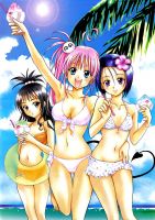 to_love-ru_20110327_00192.jpg